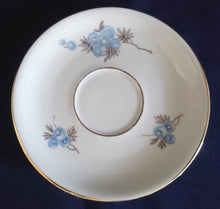 Lade das Bild in den Galerie-Viewer, UNTERTASSE - Porzellan, Goldrand & Innenrand Flora Blumenblüten Blatt Blätter Motiv Dekor (nBC)