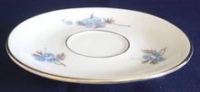 Lade das Bild in den Galerie-Viewer, UNTERTASSE - Porzellan, Goldrand & Innenrand Flora Blumenblüten Blatt Blätter Motiv Dekor (nBC)