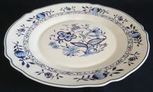 Lade das Bild in den Galerie-Viewer, SPEISETELLER - Acrylglas, Zwiebelmuster Gewellter Rand Relief Motiv Dekor