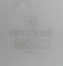 Lade das Bild in den Galerie-Viewer, SPEISETELLER - Acrylglas, Zwiebelmuster Gewellter Rand Relief Motiv Dekor