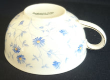 Lade das Bild in den Galerie-Viewer, TEETASSE - Porzellan, Flora Vergiss mein nicht Blumenblüten Pflanzen Motiv Dekor