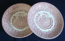 Lade das Bild in den Galerie-Viewer, 2er Set UNTERTASSEN - Keramik / Steingut, Landschaft Berg Burg Flora Blatt Blätter Baum Bäume Motiv Dekor