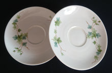 Lade das Bild in den Galerie-Viewer, UNTERTASSE - Porzellan, Flora Blatt Blätter Ranken Efeu Motiv Dekor (BC)