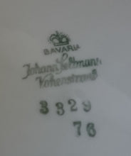 Lade das Bild in den Galerie-Viewer, DESSERTTELLER - Porzellan, Goldrand Flora Tannenzweige Blatt Blätter Nadeln Motiv Dekor