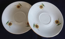Lade das Bild in den Galerie-Viewer, 2er Set UNTERTASSEN - Porzellan, Goldrand Flora Sonnenblumen Blüten Natur Motiv Dekor