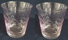 Lade das Bild in den Galerie-Viewer, 2er Set GETRÄNKEGLÄSER - Kristallglas, Flora Wiesen Pflanzen Schilfhalme Relief Motiv Dekor