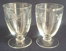 Lade das Bild in den Galerie-Viewer, 2er Set LIKÖR GETRÄNKEGLÄSER - Hartglas, Mattiert Flora Blumenblüten Blatt Blätter Linie Motiv Dekor (BC)