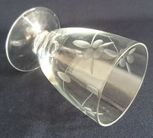 Lade das Bild in den Galerie-Viewer, 2er Set LIKÖR GETRÄNKEGLÄSER - Hartglas, Mattiert Flora Blumenblüten Blatt Blätter Linie Motiv Dekor (BC)