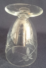 Lade das Bild in den Galerie-Viewer, 2er Set LIKÖR GETRÄNKEGLÄSER - Hartglas, Mattiert Flora Blumenblüten Blatt Blätter Linie Motiv Dekor (BC)