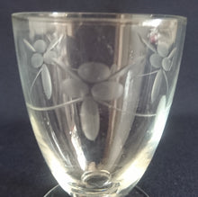 Lade das Bild in den Galerie-Viewer, 2er Set LIKÖR GETRÄNKEGLÄSER - Hartglas, Mattiert Flora Blumenblüten Blatt Blätter Linie Motiv Dekor (BC)