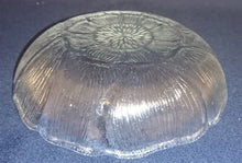 Lade das Bild in den Galerie-Viewer, 2er Set DESSERTSCHALEN - Hartglas, Flora Blüten Blatt Blätter Fasern Motiv Dekor