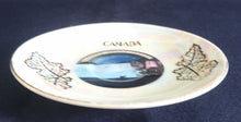 Lade das Bild in den Galerie-Viewer, SAMMELTELLERCHEN UNTERSETZER - Porzellan, Ahorn Blatt Blätter Wasserfall Niagara Falls Canada Motiv Dekor (BC)