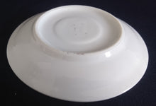 Lade das Bild in den Galerie-Viewer, SAMMELTELLERCHEN UNTERSETZER - Porzellan, Ahorn Blatt Blätter Wasserfall Niagara Falls Canada Motiv Dekor (BC)