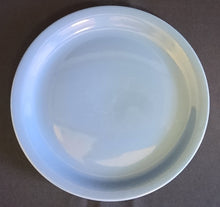 Lade das Bild in den Galerie-Viewer, SPEISETELLER - Keramik / Steingut, Einfärbiges Modernes Motiv Dekor (BC)