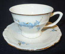 Lade das Bild in den Galerie-Viewer, MOCCA UNTERTASSE - Porzellan, Goldrand Vergiss mein Nicht Blumenblüten Flora Pflanzen Gewölbter Relief Motiv Dekor