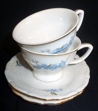 Lade das Bild in den Galerie-Viewer, MOCCATASSE - Porzellan, Goldrand Vergiss mein Nicht Blumenblüten Flora Pflanzen Gewölbter Relief Motiv Dekor