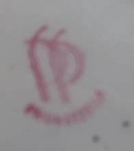 Lade das Bild in den Galerie-Viewer, MOCCA KAFFEEKANNE MIT DECKEL - Porzellan, Flora Blumenblüten Pflanzen Blatt Blätter Motiv Dekor (BC)