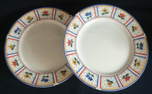 Lade das Bild in den Galerie-Viewer, 2er Set 3er TEEGEDECKE "Flirt" - Porzellan, Flora Blumenblüten Pflanzen Linien Streifen Rand Motiv Dekor