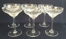 Lade das Bild in den Galerie-Viewer, 6er Set LIKÖR GETRÄNKEGLÄSER "Studio Linie" - Kristallglas, Geometrisches Abstraktes Punkte Tupfen Punkte Motiv Schliff Dekor (BC)