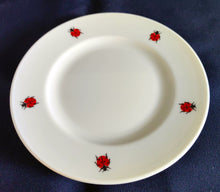 Lade das Bild in den Galerie-Viewer, 2er Set BROTZEIT~ BEILAGENTELLER "Käfer" - Porzellan, Fauna Käfer Insekten Motiv Dekor