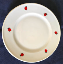 Lade das Bild in den Galerie-Viewer, 2er Set 3er KAFFEEGEDECKE "Käfer" - Porzellan, Fauna Käfer Insekten Motiv Dekor