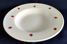 Lade das Bild in den Galerie-Viewer, 2er Set SUPPENTELLER "Käfer" - Porzellan, Fauna Käfer Insekten Motiv Dekor