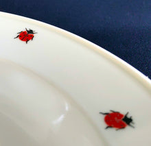Lade das Bild in den Galerie-Viewer, 2er Set SUPPENTELLER "Käfer" - Porzellan, Fauna Käfer Insekten Motiv Dekor