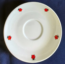 Lade das Bild in den Galerie-Viewer, 2er Set UNTERTASSEN "Käfer" - Porzellan, Fauna Käfer Insekten Motiv Dekor