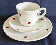 Lade das Bild in den Galerie-Viewer, 2er KAFFEEGEDECK "Käfer" - Porzellan, Fauna Käfer Insekten Motiv Dekor