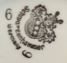 Lade das Bild in den Galerie-Viewer, BLUMENVASE MIT GRIFF- Porzellan, Goldrand Griff Flora Pflanzen Blumen Blüten Motiv Dekor