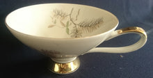 Lade das Bild in den Galerie-Viewer, TEE~ SAMMELTASSE - Porzellan, Flora Geäst Tannennadeln Zweige Gold Motiv Dekor