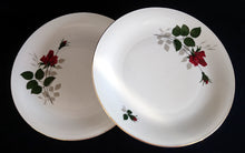 Lade das Bild in den Galerie-Viewer, 2er Set SPEISETELLER - Porzellan, Flora Rosenblumen Blüten Blatt Blätter Goldrand Motiv Dekor