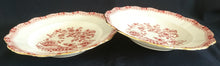 Lade das Bild in den Galerie-Viewer, 2er Set SUPPENTELLER "Theresia" - Porzellan, Asiatischer Garten Flora Blumen Pflanzen Abstrakt Motiv Gewölbter Goldrand Dekor