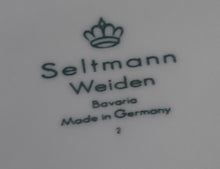 Lade das Bild in den Galerie-Viewer, SUPPENTELLER - Porzellan, Flora Blumenblüten Blatt Blätter Abstrakt Motiv Dekor (BC)