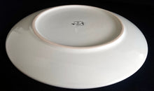 Lade das Bild in den Galerie-Viewer, 2er Set SPEISETELLER - Keramik / Steingut, Einfärbiges Gastronomisches Motiv Dekor