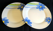 Lade das Bild in den Galerie-Viewer, 2er Set SPEISETELLER - Porzellan, Flora Pflanzen Blumenblüten Striche Linien Motiv Dekor (BC)