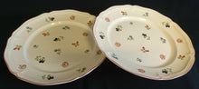 Lade das Bild in den Galerie-Viewer, SPEISETELLER "Petite Fleur" - Porzellan, Flora Verschiedene Blumenblüten Blatt Blätter Motiv Dekor
