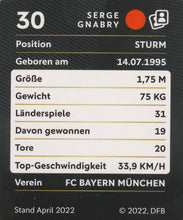 Lade das Bild in den Galerie-Viewer, Glitzer STICKER FIFA WELTMEISTERSCHAFT 2022 in QATAR (KATAR) - Verschiedene Sticker / Karten (GnoE)