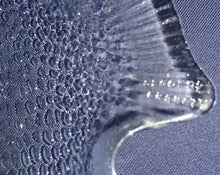 Lade das Bild in den Galerie-Viewer, SERVIERPLATTE - Press- / Hartglas, Fischform Dekor