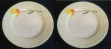 Lade das Bild in den Galerie-Viewer, 2er Set SPEISETELLER - Porzellan, Blumen / Hellgrüner Dekorrand