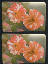 Lade das Bild in den Galerie-Viewer, GROßES MOTIV PLATZDECKCHEN, Kunststoff / Plastik, Rechteckige Form Nelken Blumen Motiv Dekor (G)