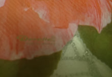 Lade das Bild in den Galerie-Viewer, 2er Set GROßE MOTIV PLATZDECKCHEN, Kunststoff / Plastik, Rechteckige Form Nelken Blumen Motiv Dekor (G)