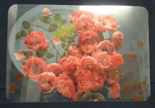 Lade das Bild in den Galerie-Viewer, GROßES MOTIV PLATZDECKCHEN, Kunststoff / Plastik, Rechteckige Form Rosen Motiv Dekor