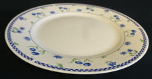 Lade das Bild in den Galerie-Viewer, SPEISETELLER - Porzellan, Blumenblüten Pflanzen Abstrakt Dekor