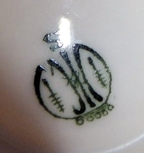 Lade das Bild in den Galerie-Viewer, SPEISETELLER - Porzellan, Blumen Blüten Pflanzen Goldrand Dekor