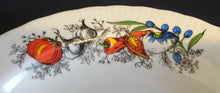 Lade das Bild in den Galerie-Viewer, SUPPENTELLER - Porzellan, Gemüse Kräuter Gewürz Motiv Geriffelter Rand Dekor