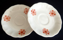 Lade das Bild in den Galerie-Viewer, 2er ESPRESSO GEDECK - Porzellan, Blumenstrauß Pflanzen Blüten Gewölbter Relief Rand Dekor