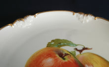 Lade das Bild in den Galerie-Viewer, DESSERTTELLER - Porzellan, Apfel Pflaumen Goldrand Relief Dekor