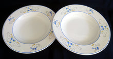 Lade das Bild in den Galerie-Viewer, 2er Set SUPPENTELLER - Keramik / Steingut, Rand Linien Gänse Blumen Blüten Schleife Korb Motiv Dekor