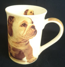 Lade das Bild in den Galerie-Viewer, KAFFEETASSE - Porzellan, Bulldogge Hunde Innen Motiv Dekor